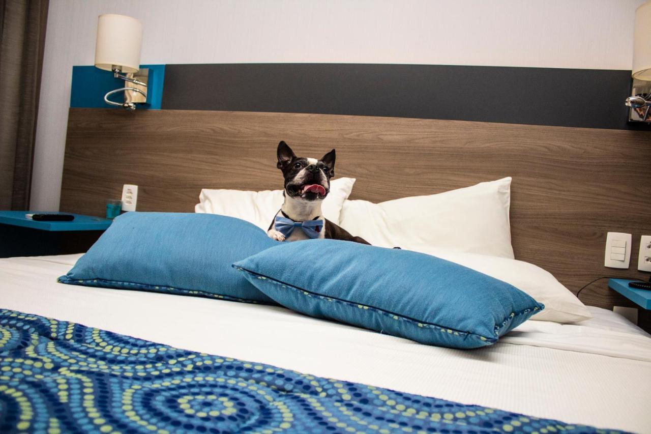 Hilton Garden Inn Santo Andre Dış mekan fotoğraf